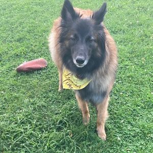 Meet your Posher, Jonathan